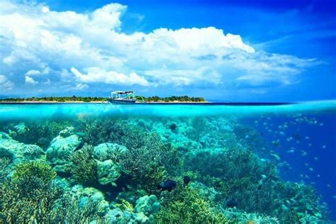 Perairan Laut 09 - Guru Geografi MAN 1 Gunungkidul DIY - wintechmobiles.com