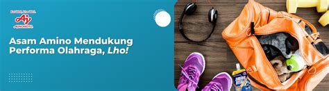 Peran Asam Amino Mendukung Performa Olahraga - Dapur Umami - wintechmobiles.com