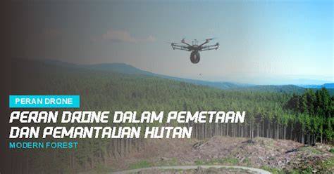 Peran Drone dalam Pemetaan dan Pemantauan Hutan - raincitystudios.com