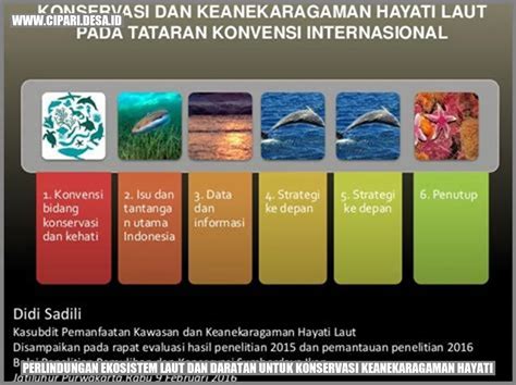 Peran Ekosistem Laut dalam Konservasi Keanekaragaman Hayati Di ... - muktibox.com