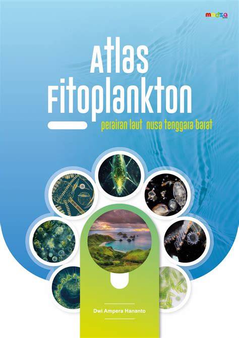Peran Fitoplankton dalam Produktivitas Perairan | PDF - raincitystudios.com