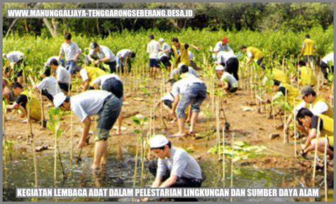 Peran Hukum Lingkungan dalam Pelestarian Sumber Daya Alam - raincitystudios.com