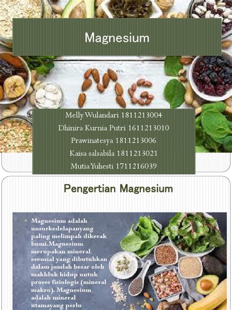 Peran Magnesium dalam Tubuh - muktibox.com