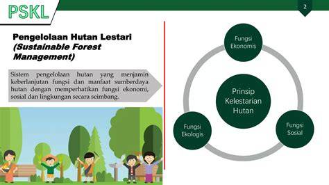 Peran Masyarakat Dalam Pengelolaan Hutan Sosial - raincitystudios.com