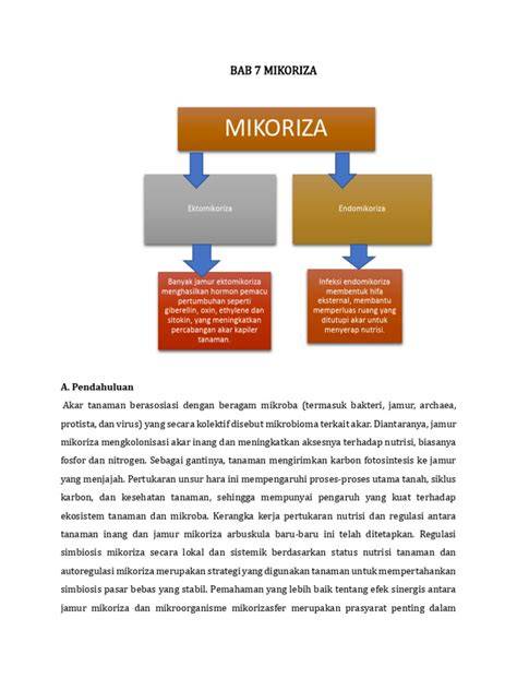 Peran Mikoriza dalam Pertumbuhan Tanaman | PDF - raincitystudios.com