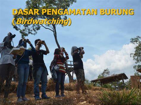Peran Penting Burung di Alam Bebas - Kehati - raincitystudios.com