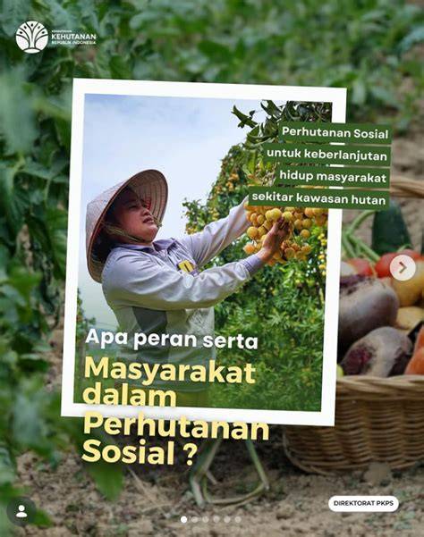 PERAN SERTA PERHUTANAN SOSIAL DALAM … - raincitystudios.com
