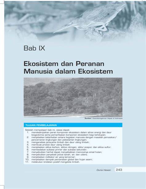Peranan Burung Bagi Manusia dan Ekosistem - raincitystudios.com