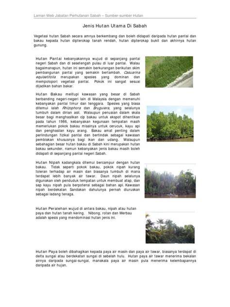 Peranan Hutan Pesisiran Pantai - Forestry - raincitystudios.com