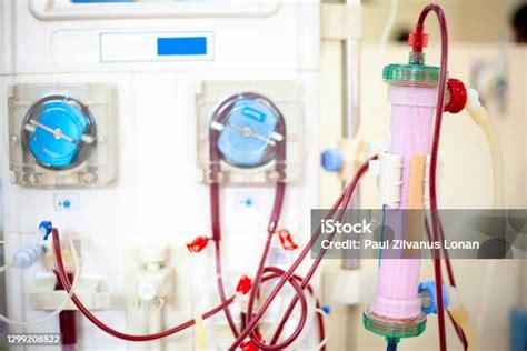 Perangkat Dialisis & Diafiltrasi Laboratorium - muktibox.com