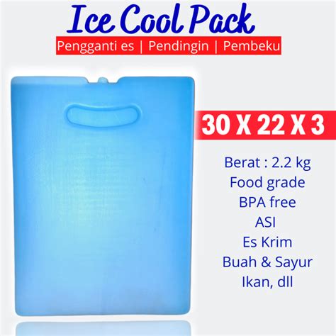 Perbedaan Ice Pack dan Es Batu - wintechmobiles.com