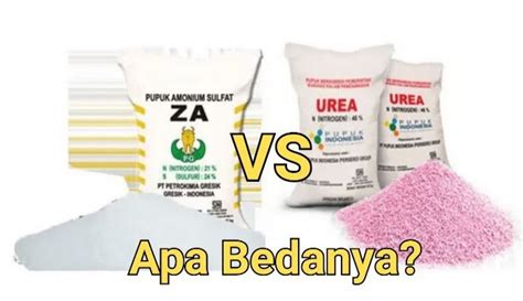 Perbedaan Urea Dan Za - wintechmobiles.com