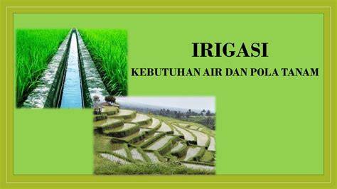 Perencanaan Pola Tanam dan Irigasi | PDF - Scribd - raincitystudios.com