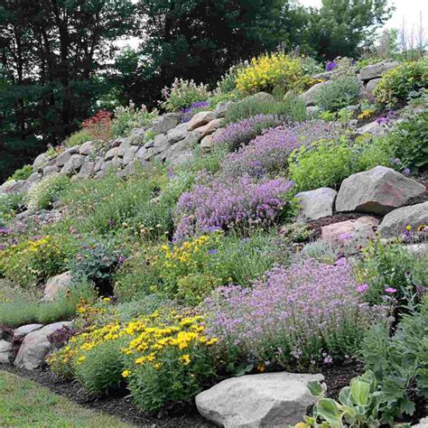Perfect Plants for Slopes - Fine Gardening - raincitystudios.com
