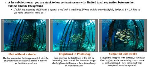 Perfecting Underwater Photography Lighting for Scuba … - raincitystudios.com
