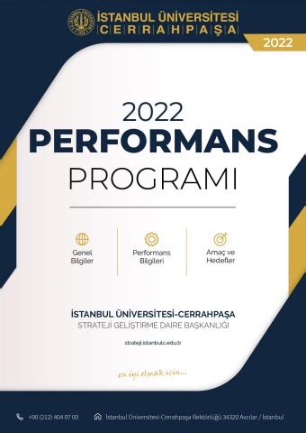 PERFORMANS PROGRAMI. 