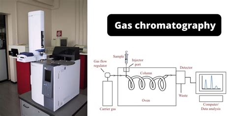 Perfumer, chemist, machine: gas chromatography and the industrial ... - wintechmobiles.com