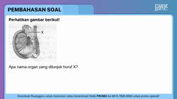 Perhatikan gambar berikut! Apa nama organ... - Roboguru - muktibox.com