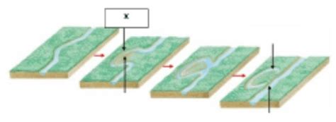 Perhatikan gambar proses pembentukan meander berik... - Roboguru - wintechmobiles.com
