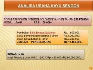 Perhitungan hasil Sengon Solomon - raincitystudios.com