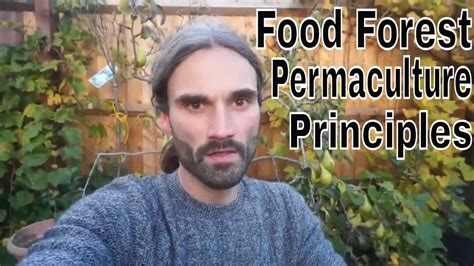 Permaculture: Build Your Own Food Forest - raincitystudios.com