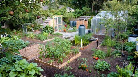 Permaculture basics for Home gardeners - OSU Extension Service - raincitystudios.com