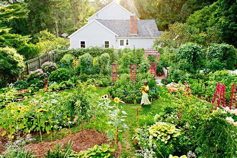 Permaculture Plants for Creating Natural … - raincitystudios.com