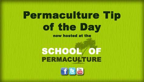 Permaculture Tip of the Day - How To Make A Keyhole Garden - raincitystudios.com