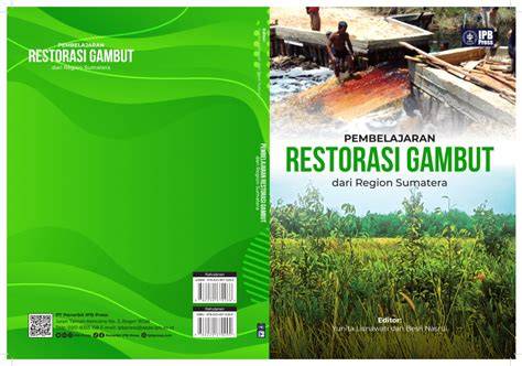 PERMASALAHAN PENGELOLAAN LAHAN GAMBUT … - raincitystudios.com