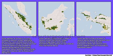 Persebaran dan Karakter Hutan Musim Indonesia - raincitystudios.com