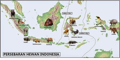 Persebaran Fauna di Indonesia - Tambah Pinter - wintechmobiles.com