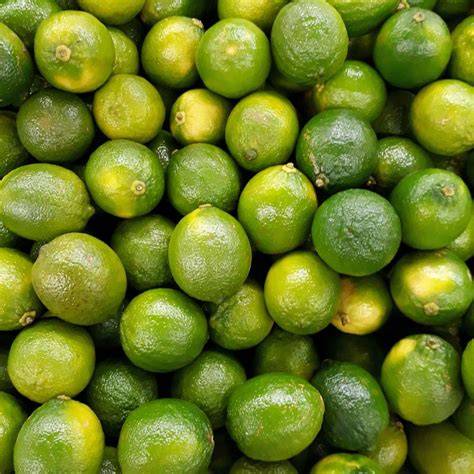 Persian lime - raincitystudios.com
