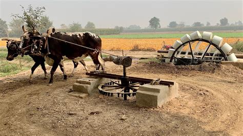 Persian Wheel Method of Irrigation | Water Wheel Irrigation System ... - raincitystudios.com