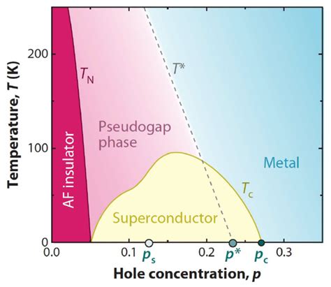Perspective on the phase diagram of cuprate high-temperature ... - wintechmobiles.com