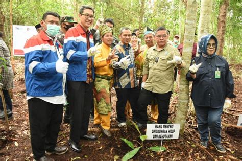 Pertamina Dumai kembangkan Kampung Gambut Berdikari di ... - Antara Riau - raincitystudios.com