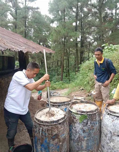 Perum Perhutani Genjot Produksi Getah Pinus - raincitystudios.com