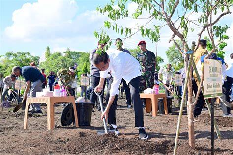 Pesona Pohon Cendana Dalam Membantu … - raincitystudios.com