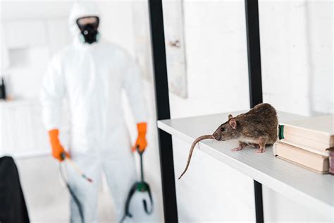 Pest Control: Rodents - EOLSS - muktibox.com