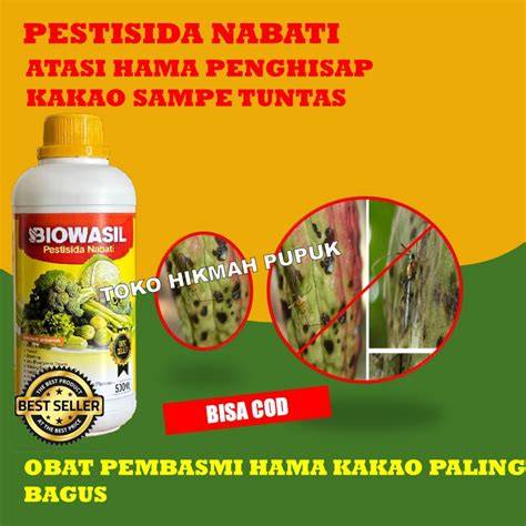 Pestisida Nabati untuk Pengendalian Hama Ramah … - raincitystudios.com