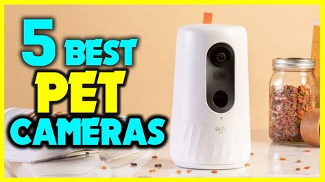Pet Camera - Buy Pet Monitor for Home - coolestguyplanet.net