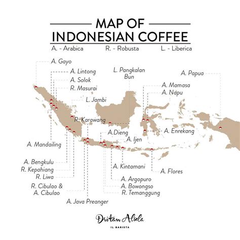 Peta Kopi Indonesia | Gibransyah Fakhri - wintechmobiles.com