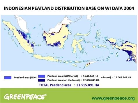 Peta Sebaran Rawa di Indonesia - Guru Geografi - wintechmobiles.com