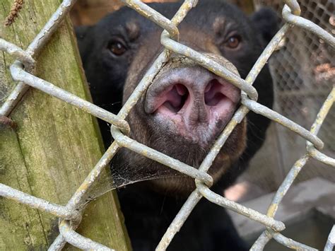 PETA vs Waccatee Zoo Lawsuit
