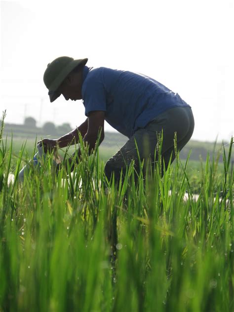 PETANI | #SDMPetaniUnggul | #PetaniGoDigital - wintechmobiles.com