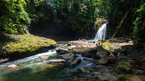 Petit-Bourg, Basse-Terre, Guadeloupe - Shutterstock - raincitystudios.com