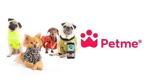 petme.social - raincitystudios.com