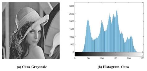 Pewarnaan Citra Grayscale dengan Histogram Specification - muktibox.com
