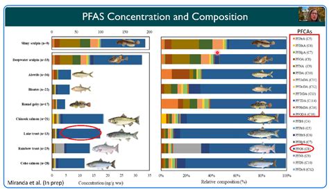 PFAS—Information on the Maryland Department of the …