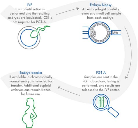 PGT A Embryo Chromosomal Abnormalities Test CooperSurgical Fertility