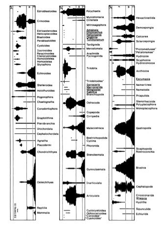 Phanerozoic marine fossil record' - JSTOR - raincitystudios.com